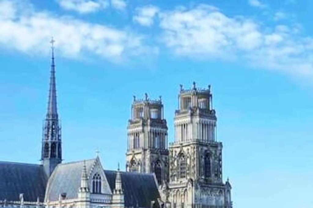Superbe Appartement En Coeur De Ville Orléans Eksteriør bilde